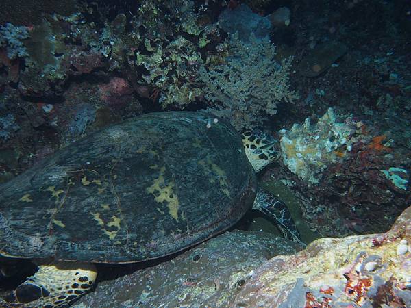 PA060166.JPG PA060166.JPG