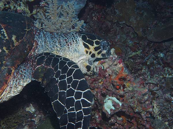 PA060169.JPG PA060169.JPG