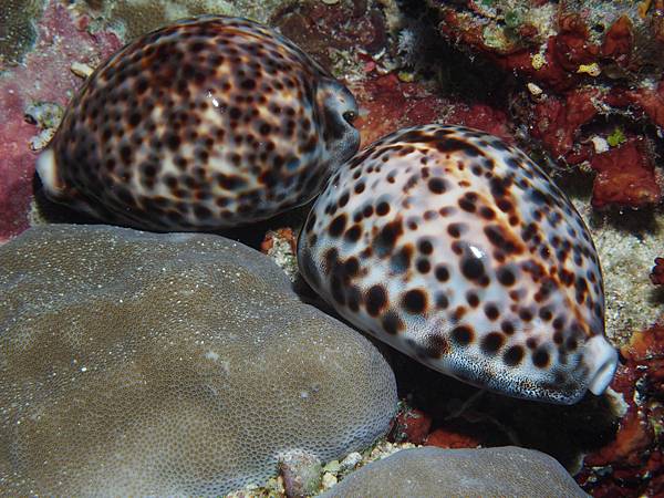 PA060192.JPG PA060192.JPG