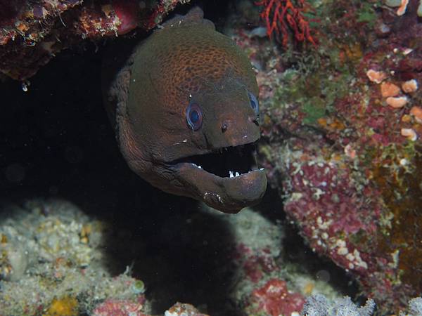 PA060197.JPG PA060197.JPG