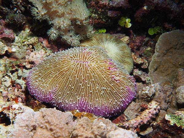 PA060202.JPG PA060202.JPG