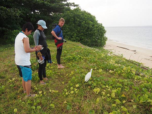 PA060226.JPG PA060226.JPG