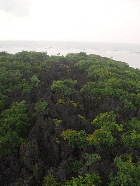 PA060234.JPG PA060234.JPG