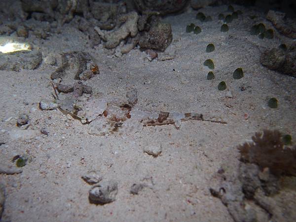 PA060264.JPG PA060264.JPG