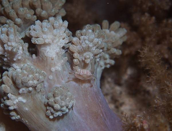 PA060280.JPG PA060280.JPG