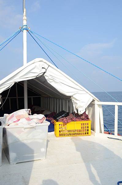 LIF_2583.JPG LIF_2583.JPG