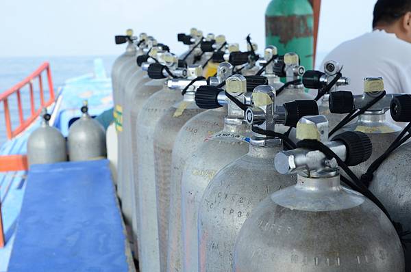 LIF_2597.JPG LIF_2597.JPG