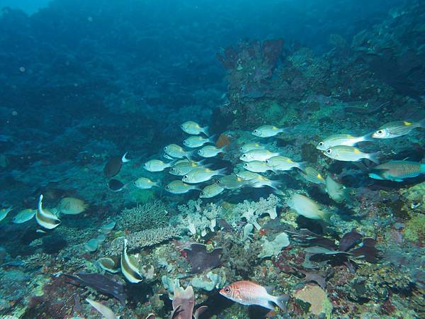 PA070296.JPG PA070296.JPG