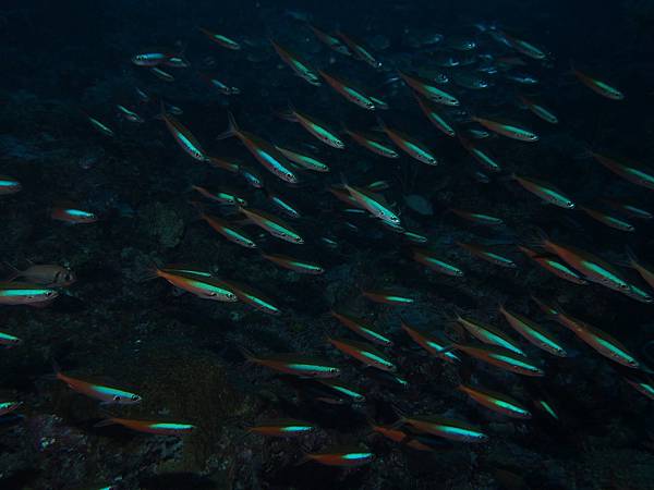 PA070299.JPG PA070299.JPG