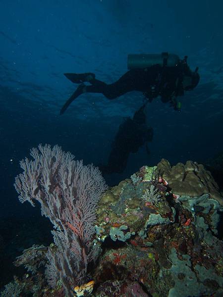 PA070312.JPG PA070312.JPG