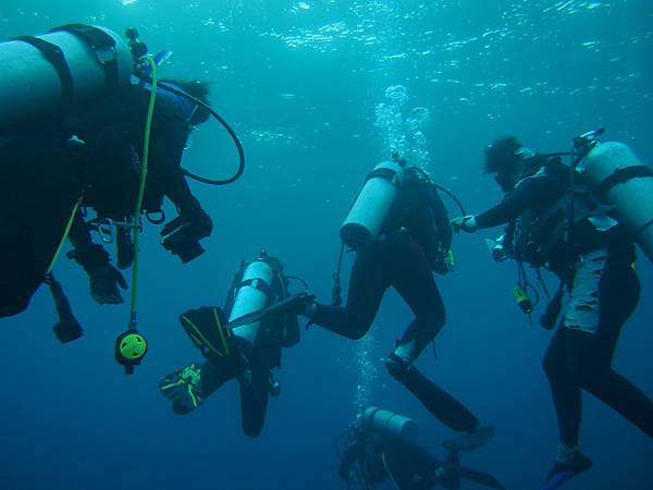 PA070320.JPG PA070320.JPG