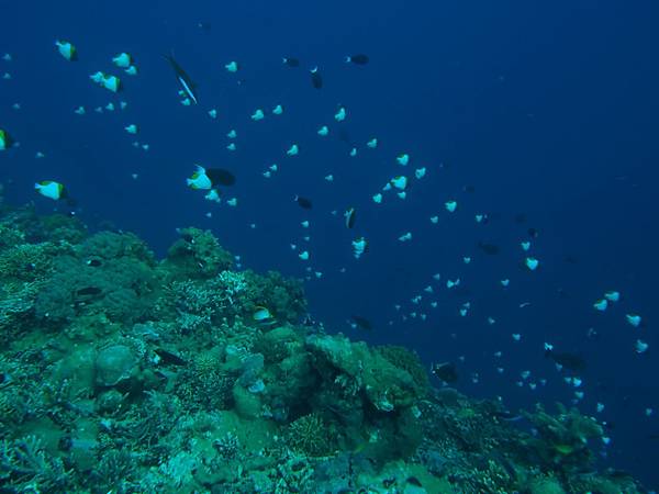 PA070323.JPG PA070323.JPG