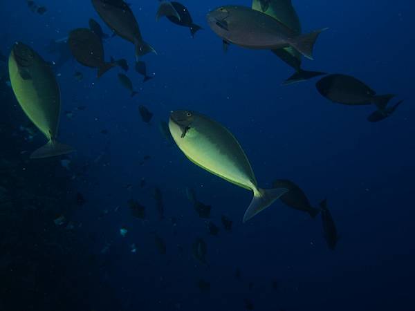 PA070351.JPG PA070351.JPG