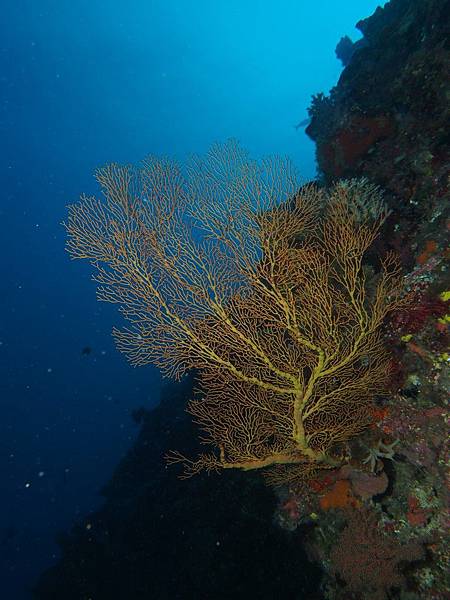 PA070345.JPG PA070345.JPG