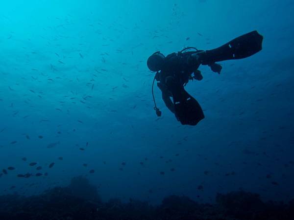 PA070364_.jpg PA070364_.jpg