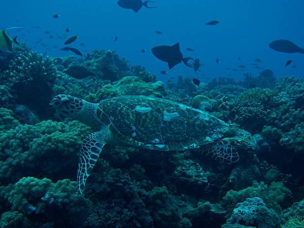 PA070382_.jpg PA070382_.jpg