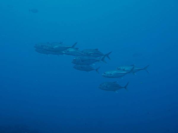 PA070387_.jpg PA070387_.jpg