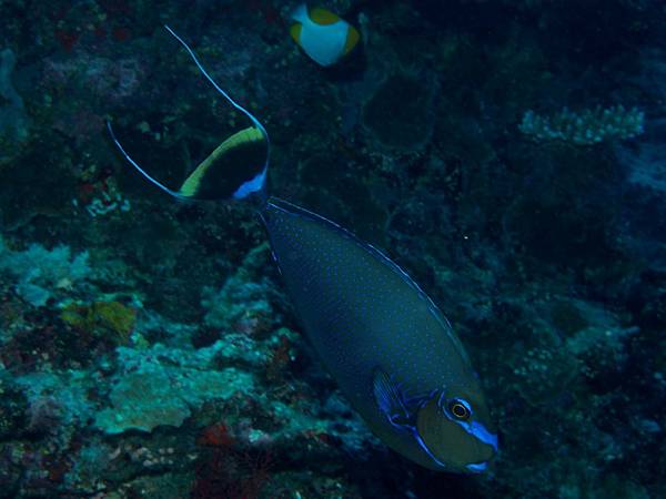 PA070424_.jpg PA070424_.jpg