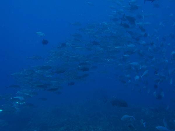 PA070445_.jpg PA070445_.jpg