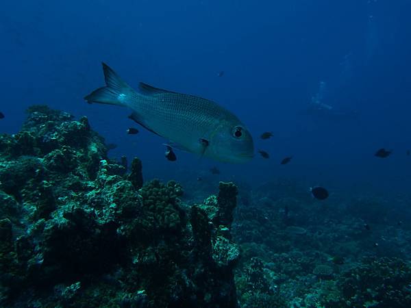 PA070448.JPG PA070448.JPG