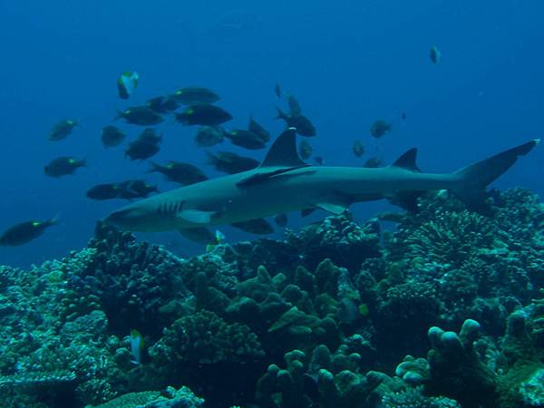 PA070451_.jpg PA070451_.jpg