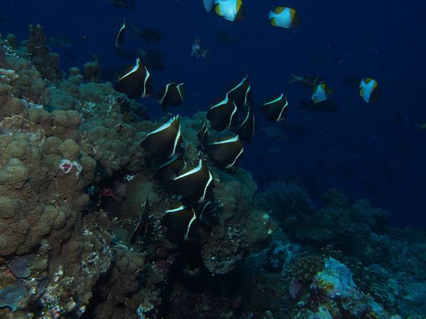 PA070465.JPG PA070465.JPG