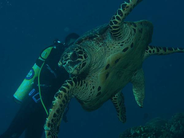 PA070498.JPG PA070498.JPG