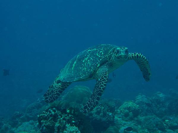 PA070497_.jpg PA070497_.jpg