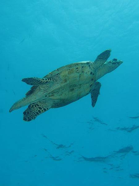 PA070503.JPG PA070503.JPG