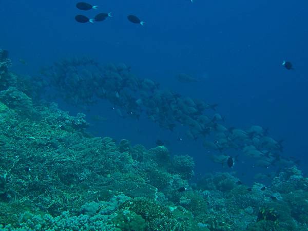 PA070512_.jpg PA070512_.jpg