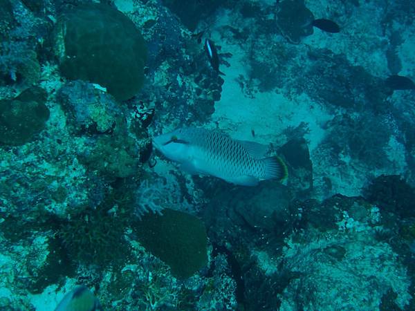 PA070518_.jpg PA070518_.jpg