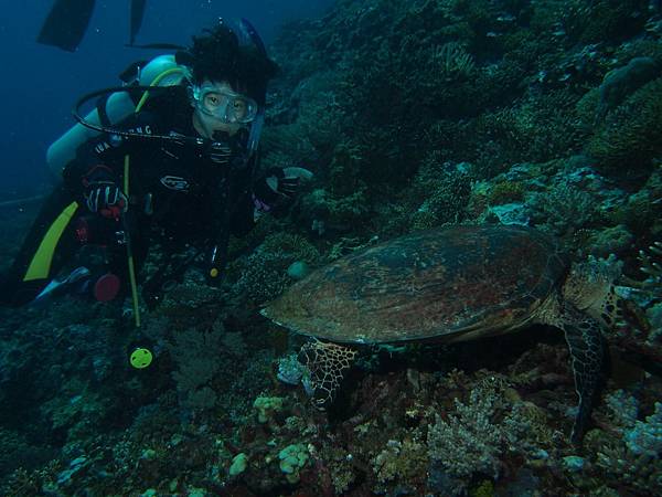 PA070526.JPG PA070526.JPG