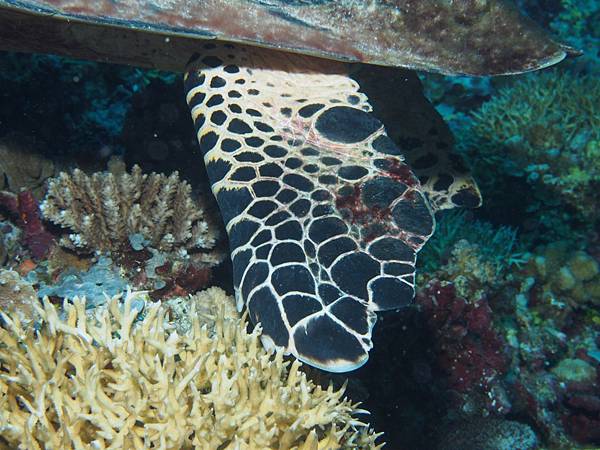 PA070537.JPG PA070537.JPG