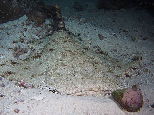 P2250280.jpg P2250280.jpg