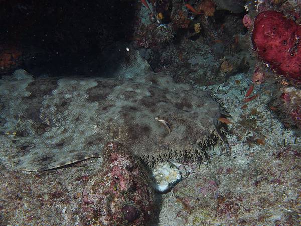 P2250152.JPG P2250152.JPG