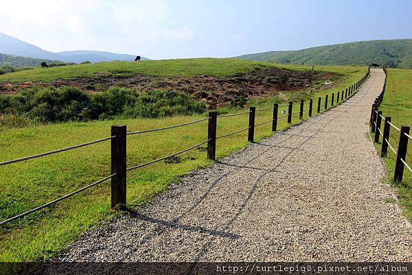 IMG_4292.JPG IMG_4292.JPG