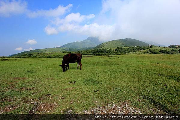 IMG_4306.JPG IMG_4306.JPG