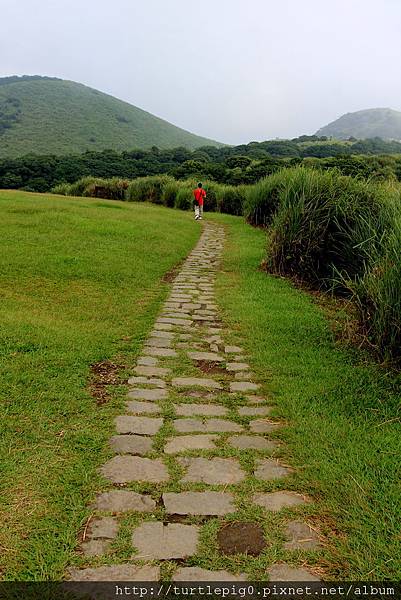 IMG_4336.JPG IMG_4336.JPG