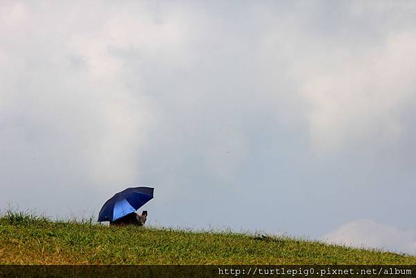 IMG_4343.JPG IMG_4343.JPG