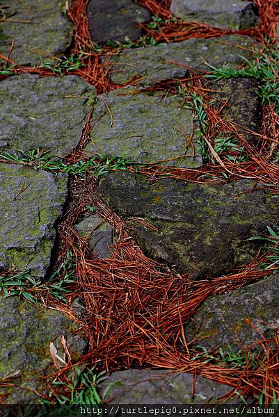 IMG_4362.JPG IMG_4362.JPG