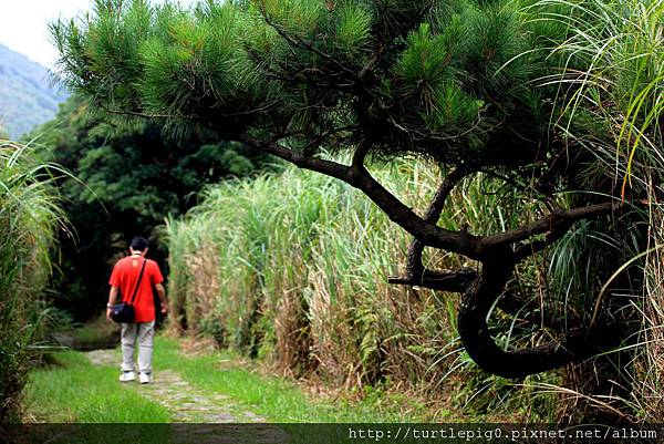 IMG_4363.JPG IMG_4363.JPG