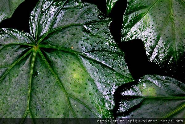 IMG_4414-3.jpg IMG_4414-3.jpg