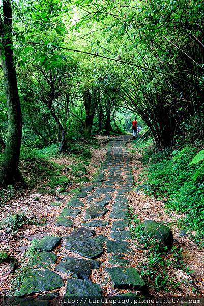 IMG_4433.JPG IMG_4433.JPG