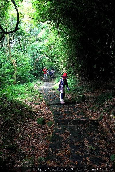 IMG_4439.JPG IMG_4439.JPG