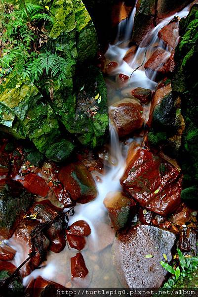 IMG_4450.JPG IMG_4450.JPG