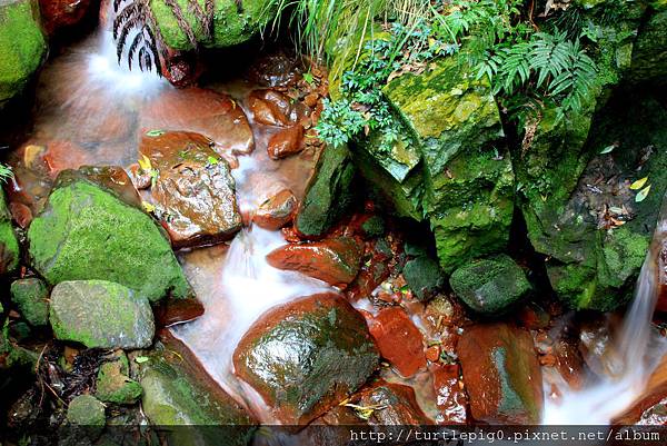 IMG_4461.JPG IMG_4461.JPG