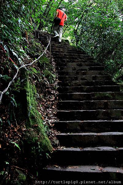 IMG_4470.JPG IMG_4470.JPG