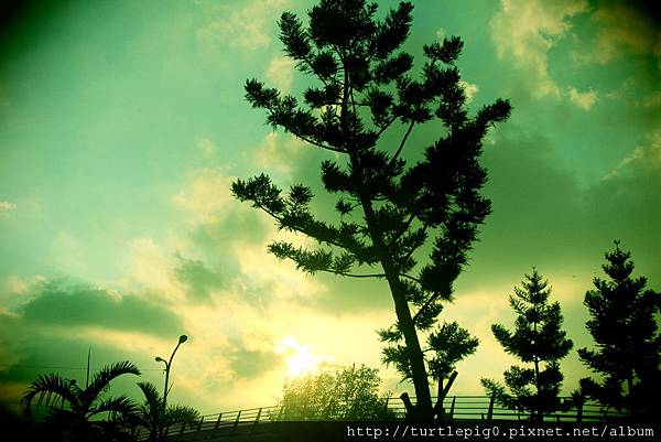 IMG_4555.JPG IMG_4555.JPG