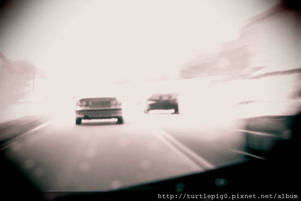 IMG_4561.JPG IMG_4561.JPG