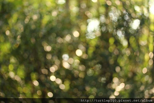 IMG_4654.JPG IMG_4654.JPG